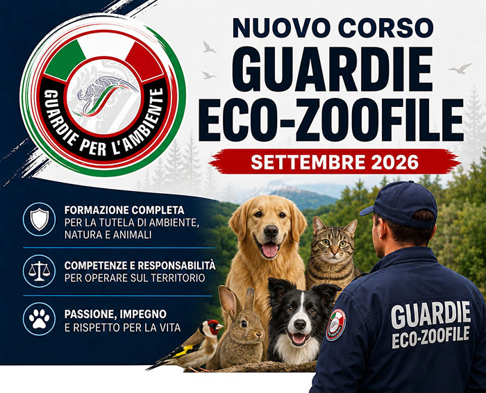 GxA Iscrizione