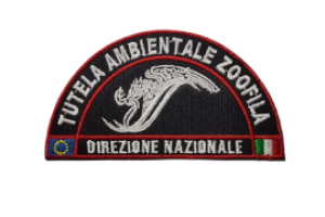 Patch tutela